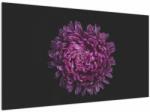 Mivali Tablou cu floare violetă, dintr-o bucată 120x70 cm (V020427V12070)