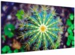 Mivali Tablou cu cactus, dintr-o bucată 120x70 cm (V020556V12070)