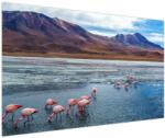 Mivali Tablou - Flamingo, dintr-o bucată 150x100 cm (V023797V150100)