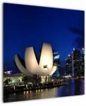 Mivali Tablou Singapore nocturn, dintr-o bucată 70x70 cm (V020610V7070)