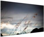 Mivali Tablou -Flori de luncă, dintr-o bucată 150x100 cm (V022190V150100)