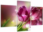 Mivali Tablou cu lalele roz, din trei bucăți 90x60 cm (V020887V90603PCS)