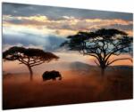 Mivali Tablou - Parcul Național Serengeti, Tanzania, Africa, dintr-o bucată 90x60 cm (V023034V9060)