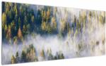 Mivali Tablou - Copac în ceață, dintr-o bucată 120x50 cm (V023148V12050)