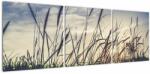 Mivali Tablou cu flori de câmp, din trei bucăți 120x40 cm (V021185V12040)