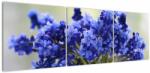 Mivali Tablou buchet cu flori albastre, din trei bucăți 150x50 cm (V020175V15050)