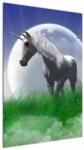 Mivali Tablou cu unicorn, dintr-o bucată 60x90 cm (V021168V6090)