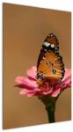 Mivali Tablou cu fluture pe floare, dintr-o bucată 60x90 cm (V020268V6090)