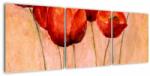 Mivali Tablou - Lalele roșii, din trei bucăți 120x40 cm (V023505V12040)