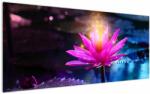 Mivali Tablou cu lotus pe apă, dintr-o bucată 120x50 cm (V020711V12050)