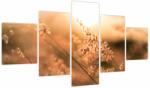 Mivali Tablou - Iarbă la soare, din cinci bucăți 125x70 cm (V023919V12570)