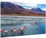 Mivali Tablou - Flamingo, dintr-o bucată 90x60 cm (V023797V9060)