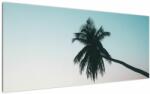 Mivali Tablou - Palmier la Bali, dintr-o bucată 120x50 cm (V021567V12050)