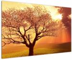 Mivali Tablou cu razele lui Dumnezeu, dintr-o bucată 120x80 cm (V021190V12080)