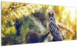 Mivali Tablou - Bufniță în copac, dintr-o bucată 100x40 cm (V023347V10040)