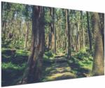 Mivali Tablou cu drum între copaci, dintr-o bucată 150x100 cm (V021217V150100)