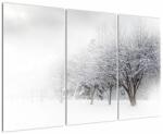 Mivali Tablou - Aleea de iarnă, din trei bucăți 120x80 cm (V023265V120803PCS)