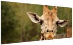 Mivali Tablou girafe, dintr-o bucată 200x100 cm (V020691V200100)