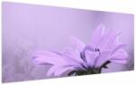 Mivali Tablou - Flori mov, dintr-o bucată 120x50 cm (V023935V12050)