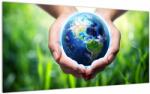 Mivali Tablou pe sticlă - Pământul în pamă, dintr-o bucată 100x50 cm pe sticlă (V023460V10050GD)
