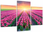Mivali Tablou cu câmp de lalele cu soare, din trei bucăți 90x60 cm (V020554V90603PCS)