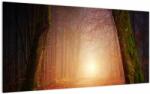 Mivali Tablou pe sticlă cu pădurea toamna în ceață, dintr-o bucată 100x50 cm pe sticlă (V020013V10050GD)