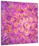 Mivali Tablou detailat cu floare, dintr-o bucată 40x40 cm (V020319V4040)