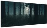 Mivali Tablou - Ferigi în lumina lunii, dintr-o bucată 100x40 cm (V022890V10040)
