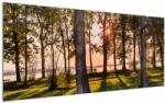 Mivali Tablou cu pomi lângă lac, dintr-o bucată 120x50 cm (V020839V12050)