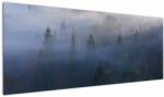 Mivali Tablou - Pădure în ceță, Carpați, Ucraina, dintr-o bucată 145x58 cm (V023077V14558)