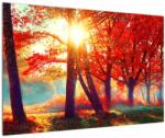 Mivali Tablou - Peisaj de toamnă, dintr-o bucată 90x60 cm (V022480V9060)