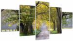 Mivali Tablou - Smoky Mountains, Gatlinburg, SUA, din cinci bucăți 150x80 cm (V023372V150805PCS)