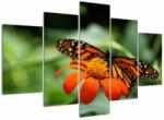 Mivali Tablou cu fluture pe floare, din cinci bucăți 150x105 cm (V021244V150105)