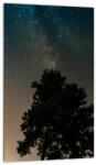 Mivali Tablou cu cerul nocturn și copaci, dintr-o bucată 20x30 cm (V020879V2030)