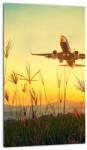 Mivali Tablou cu avion zburând, dintr-o bucată 20x30 cm (V020504V2030)
