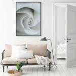 Mivali Poster - White Rose, mărimea 40x40 cm (S040045S4040)