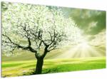 Mivali Tablou cu copaci pe luncă, dintr-o bucată 120x70 cm (V021282V12070)