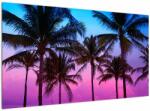 Mivali Tablou - Palmieri din Miami, dintr-o bucată 120x70 cm (V022477V12070)