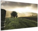 Mivali Tabloucu luncă, dintr-o bucată 120x80 cm (V020699V12080)