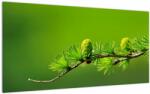Mivali Tablou pe sticlă con verde, dintr-o bucată 100x50 cm pe sticlă (V020627V10050GD)