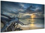 Mivali Tablou cu marea în apus de soare, dintr-o bucată 120x70 cm (V020976V12070)