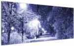 Mivali Tablou - Noaptea magică de iarnă, dintr-o bucată 120x50 cm (V023263V12050)