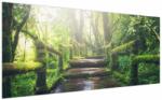 Mivali Tablou - trepte din lemn în pădure, dintr-o bucată 200x100 cm (V020593V200100)
