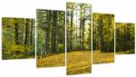Mivali Tablou - pădurea toamna (cu ceas), din cinci bucăți 150x80 cm cu ceas (V020218V15080C)