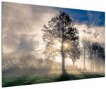 Mivali Tablou cu copac în ceață, dintr-o bucată 120x80 cm (V020378V12080)