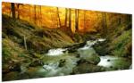 Mivali Tablou - Pădure, dintr-o bucată 200x100 cm (V023784V200100)