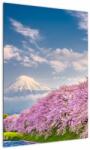 Mivali Tablou - Peisaj de primăvară japonez, dintr-o bucată 50x70 cm (V022377V5070)