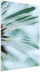 Mivali Tablou - Detaliu floare, dintr-o bucată 60x90 cm (V023723V6090)