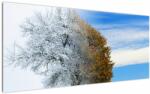 Mivali Tablou - Schimbarea anotimpurilor, dintr-o bucată 120x50 cm (V023329V12050)