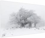 Mivali Tablou - Iarnă albă, dintr-o bucată 150x100 cm (V022824V150100)